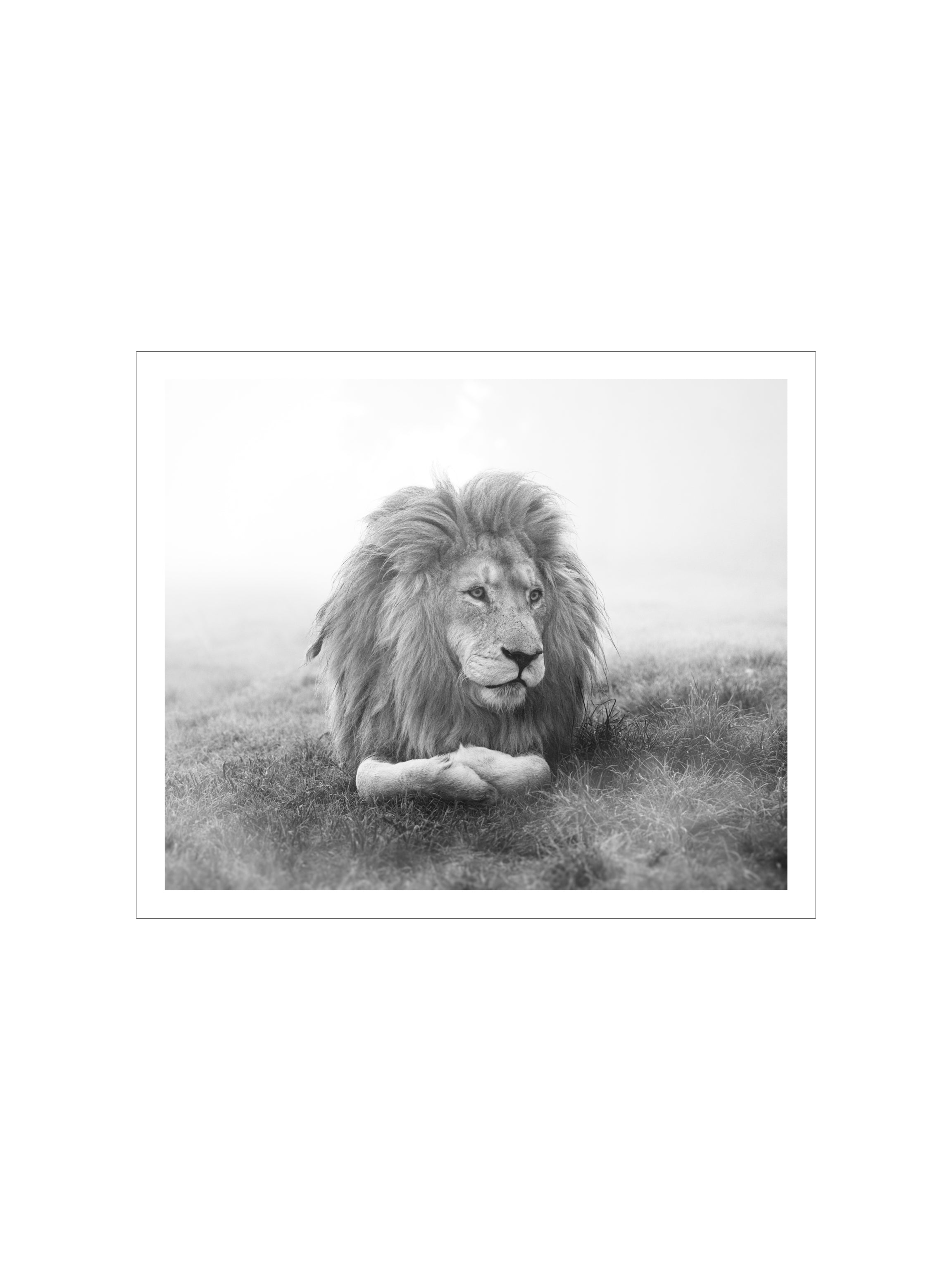 TONGA B&W
