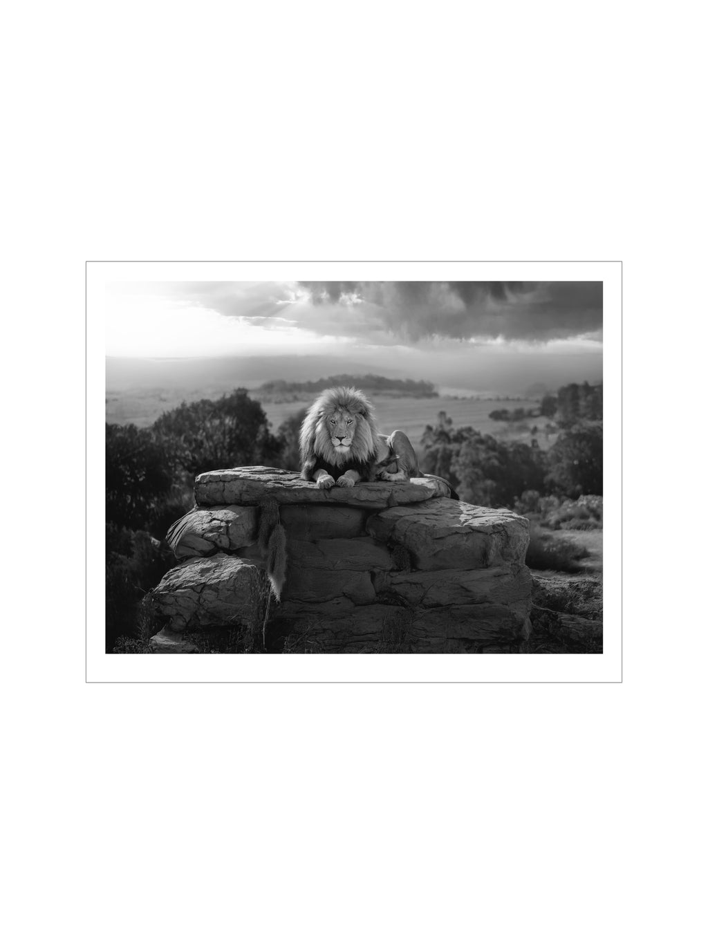 Lion Rock